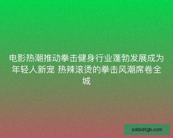 电影热潮推动拳击健身行业蓬勃发展成为年轻人新宠 热辣滚烫的拳击风潮席卷全城