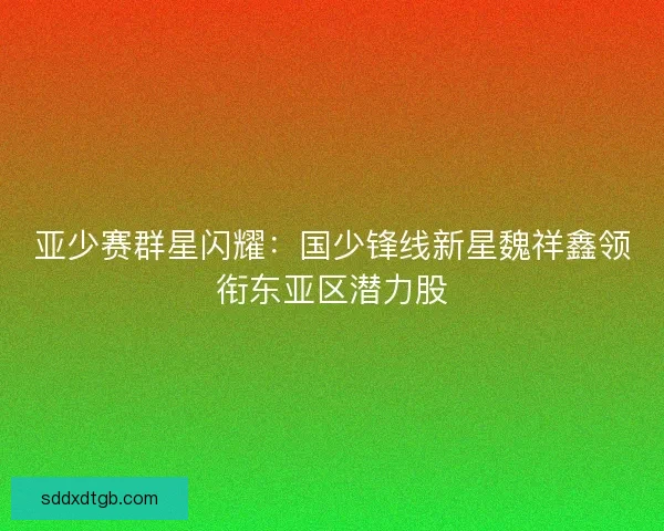亚少赛群星闪耀：国少锋线新星魏祥鑫领衔东亚区潜力股