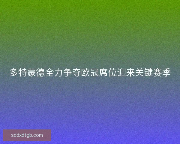 多特蒙德全力争夺欧冠席位迎来关键赛季